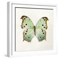 Butterfly Impression-Irene Suchocki-Framed Giclee Print