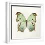 Butterfly Impression-Irene Suchocki-Framed Giclee Print