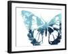 Butterfly Imprint I-June Vess-Framed Art Print