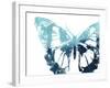 Butterfly Imprint I-June Vess-Framed Art Print