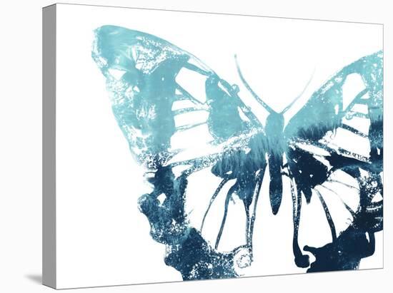 Butterfly Imprint I-June Vess-Stretched Canvas