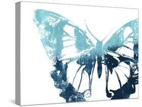 Butterfly Imprint I-June Vess-Stretched Canvas