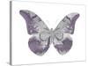 Butterfly in Amethyst I-Julia Bosco-Stretched Canvas