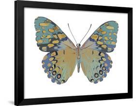 Butterfly in Amethyst II-Julia Bosco-Framed Art Print