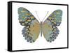 Butterfly in Amethyst II-Julia Bosco-Framed Stretched Canvas