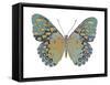 Butterfly in Amethyst II-Julia Bosco-Framed Stretched Canvas