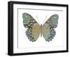 Butterfly in Amethyst II-Julia Bosco-Framed Art Print