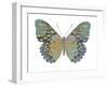 Butterfly in Amethyst II-Julia Bosco-Framed Art Print