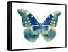 Butterfly in Aqua I-Julia Bosco-Framed Stretched Canvas