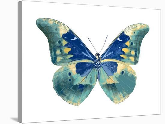 Butterfly in Aqua I-Julia Bosco-Stretched Canvas