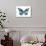 Butterfly in Aqua I-Julia Bosco-Art Print displayed on a wall