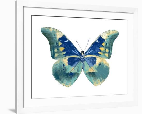 Butterfly in Aqua I-Julia Bosco-Framed Art Print