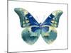 Butterfly in Aqua I-Julia Bosco-Mounted Art Print