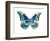 Butterfly in Aqua I-Julia Bosco-Framed Art Print