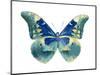 Butterfly in Aqua I-Julia Bosco-Mounted Art Print