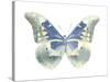 Butterfly in Aqua II-Julia Bosco-Stretched Canvas