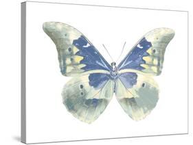 Butterfly in Aqua II-Julia Bosco-Stretched Canvas
