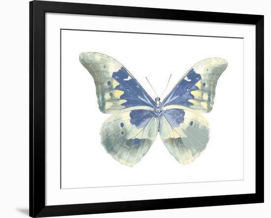 Butterfly in Aqua II-Julia Bosco-Framed Art Print