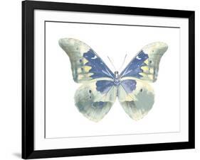 Butterfly in Aqua II-Julia Bosco-Framed Art Print