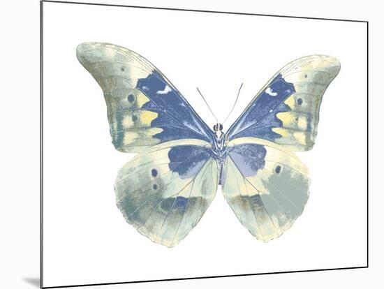 Butterfly in Aqua II-Julia Bosco-Mounted Art Print