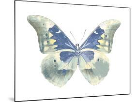 Butterfly in Aqua II-Julia Bosco-Mounted Art Print