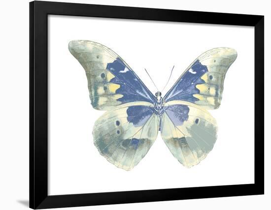 Butterfly in Aqua II-Julia Bosco-Framed Art Print