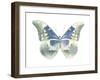 Butterfly in Aqua II-Julia Bosco-Framed Art Print