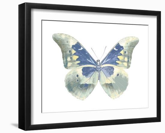 Butterfly in Aqua II-Julia Bosco-Framed Art Print