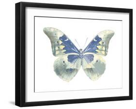 Butterfly in Aqua II-Julia Bosco-Framed Art Print