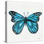 Butterfly in Blue-Cat Coquillette-Stretched Canvas