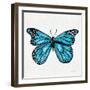 Butterfly in Blue-Cat Coquillette-Framed Giclee Print