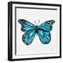 Butterfly in Blue-Cat Coquillette-Framed Giclee Print