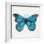 Butterfly in Blue-Cat Coquillette-Framed Giclee Print