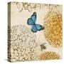 Butterfly in Flight II-Anna Polanski-Stretched Canvas