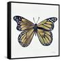 Butterfly in Gold-Cat Coquillette-Framed Stretched Canvas