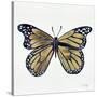 Butterfly in Gold-Cat Coquillette-Stretched Canvas