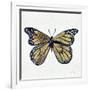 Butterfly in Gold-Cat Coquillette-Framed Giclee Print