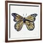 Butterfly in Gold-Cat Coquillette-Framed Giclee Print