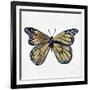 Butterfly in Gold-Cat Coquillette-Framed Giclee Print