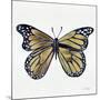 Butterfly in Gold-Cat Coquillette-Mounted Giclee Print