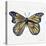 Butterfly in Gold-Cat Coquillette-Stretched Canvas