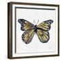 Butterfly in Gold-Cat Coquillette-Framed Giclee Print