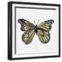 Butterfly in Gold-Cat Coquillette-Framed Giclee Print