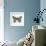 Butterfly in Gold-Cat Coquillette-Framed Giclee Print displayed on a wall