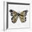 Butterfly in Gold-Cat Coquillette-Framed Giclee Print