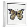 Butterfly in Gold-Cat Coquillette-Framed Giclee Print