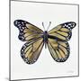 Butterfly in Gold-Cat Coquillette-Mounted Giclee Print