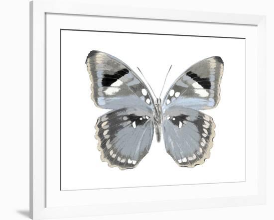 Butterfly in Grey I-Julia Bosco-Framed Art Print