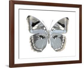 Butterfly in Grey I-Julia Bosco-Framed Art Print
