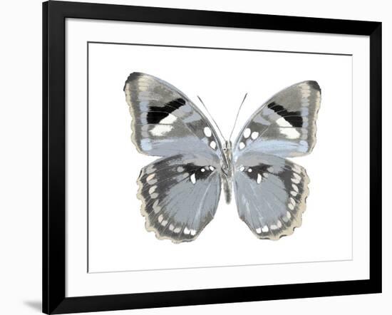 Butterfly in Grey I-Julia Bosco-Framed Art Print